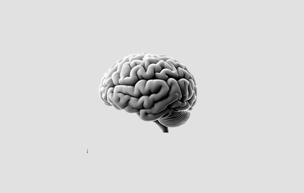 cerebro
